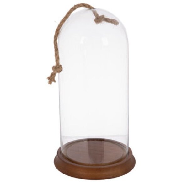 Glass Dome Terrarium / Display Case with Wood Base - Tall - Picture 2 of 5